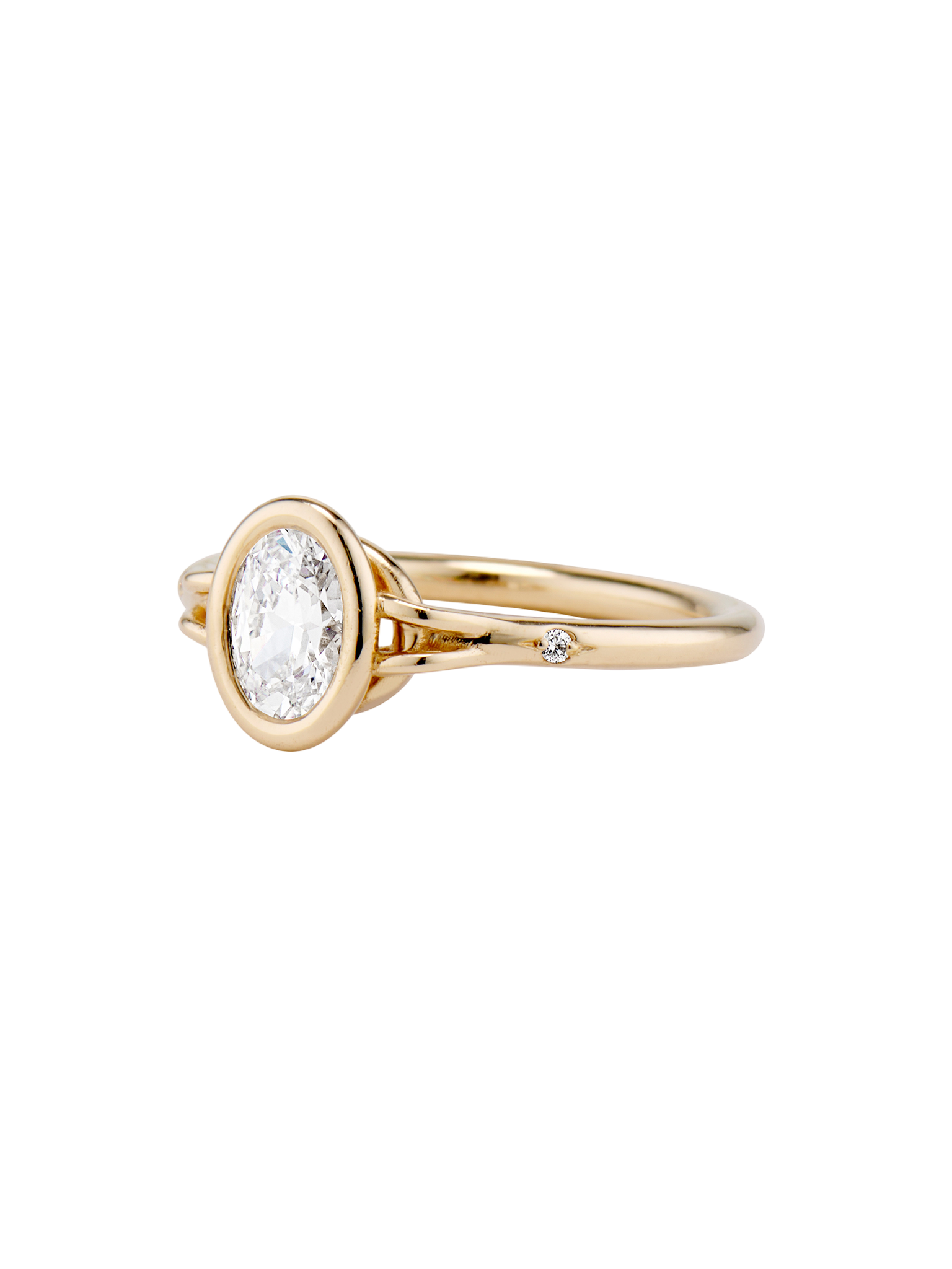 Suspended in time ring - oval